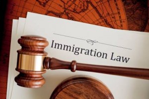 IMMIGRATION_IMG